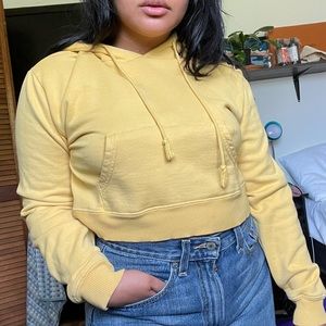 brandy melville cropped hoodie